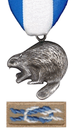 silver-beaver-award